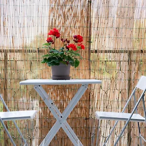 Mondello Cottage Apartment
